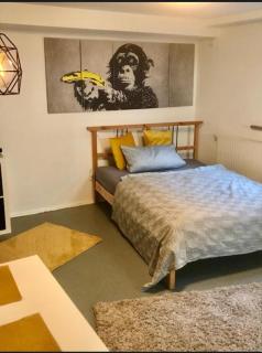 Garten Apartment für Hundefreunde mit Zaun Souterrain Zugang über mehrere Stufen,Treppe - Hirschaid - 7