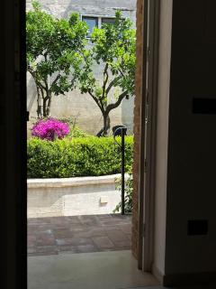 IL CORTILE DELLE ZAGARE - Pollica - 6