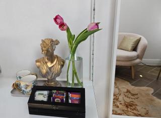 Villa Marmont Karlovac Luksuzni Smještaj na Top Lokaciji s Parkingom i Self Check inom - 2