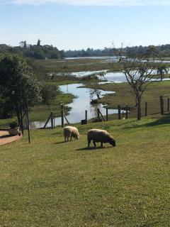 Paradise for your family next to Porto Alegre - Eldorado do Sul - 9