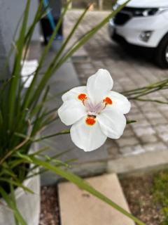 Paradise for your family next to Porto Alegre - 5