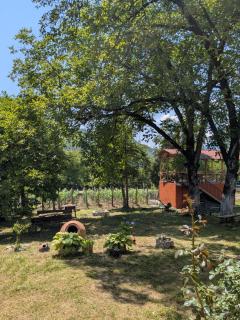 Kipiani guest house ყიფიანის სახლი - Khvanchkara - 6