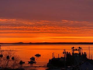 Eco-friendly studio - ocean views, close to beach - Lincolnville - 5