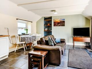 Studio Cottage - Treffynnon - 0