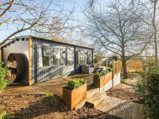 The Cosy Cabin - Clapton in Gordano - 0