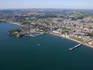 Singer House Apartment - Paignton - 1