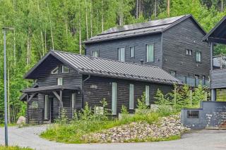 Luxury Villa Leijonanluola - Himos - 0