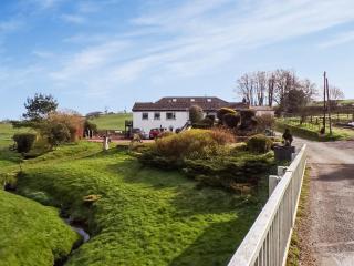 The Granary - Uk45181 - Newcastleton - 0