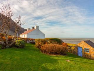 Blue - Uk43119 - Trefor - 1