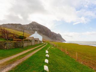 Blue - Uk43119 - Trefor - 1