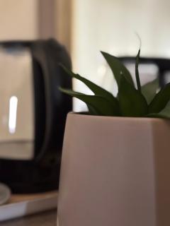 Comfy Stay in Central Salalah - Salala - 2