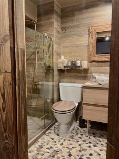 Chalet des Rosiers in Gstaad - Kalberhöni - 5
