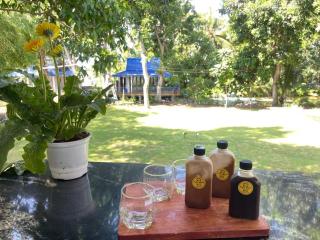 An Nhien Garden - Long Khanh - 8