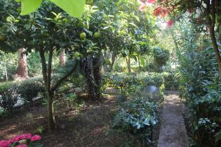 Residence Giardino - Vieste - 2