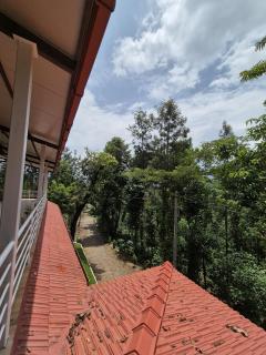 Tropica Retreat by Dazzle Destinations - Private Waterfalls, Private Rooms and Bonfire - Aldūr - 5