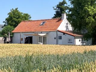 Farmhouse near beach - Kloosterzande - 9