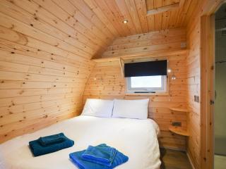 Barcud Coch - Uk44539 - Hirnant - 4