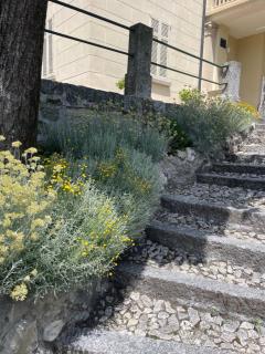 Villa Pia Lena - 7