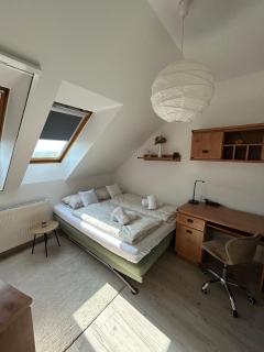 Golden on the third floor - Nagykanizsa - 9