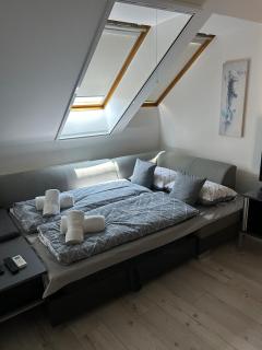 Golden on the third floor - Nagykanizsa - 6