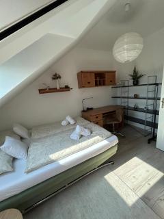 Golden on the third floor - Nagykanizsa - 1