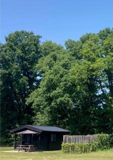 Holiday Hut - Bornerbroek - 7