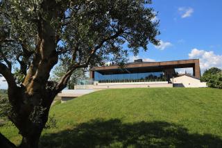 Azienda Agricola Galliussi - Cividale del Friuli - 2