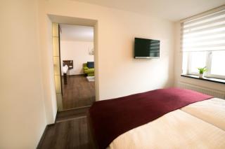 Hotel Gasthaus Roter Ochsen - Rheinau - 7