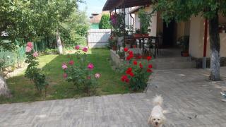Casa în regim hotelier - Dofteana - 4