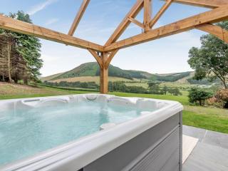 Penshenkin Barn - Llanfihangel-nant-Melan - 0