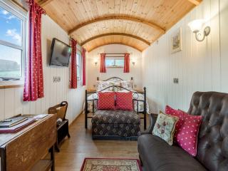 Shepherds Hut - Uk45529 - Buildwas - 3