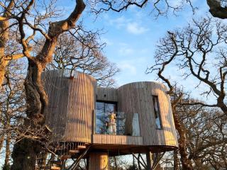The Treehouse Caerlaverock - Uk45028 - Carsethorn - 0