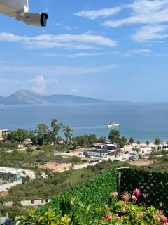 Odore di Mare 1 - Qeparo - 5