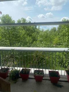 Bordeaux Grand appartement 2 terrasses calme parc ombrage parking prive - 2