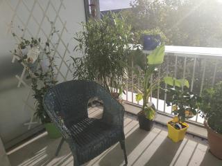Bordeaux Grand appartement 2 terrasses calme parc ombrage parking prive - 0