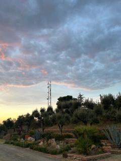 B&B Quota 424 - Altavilla Silentina - 2