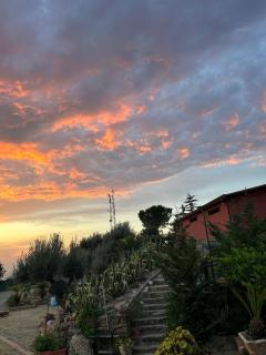 B&B Quota 424 - Altavilla Silentina - 3