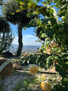 B&B Quota 424 - Altavilla Silentina - 1