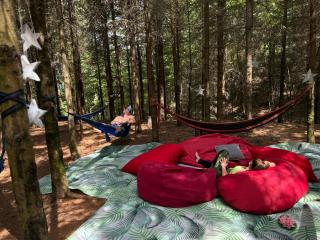 Domaine pour 21 pers avec SPA et GRANGE Festive - 1