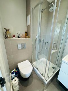 Beautiful Edinburgh Apartment - 6