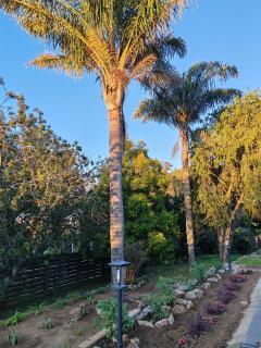 3 Cradock Road - - 6