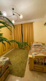 Apartment in Zayed - Sheikh Zayed - 2