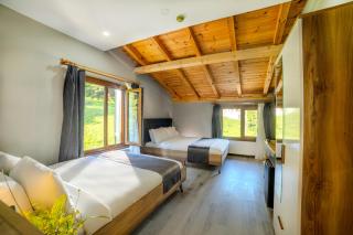 Ayder Palazzo Resort - Ayder Yaylasi - 6