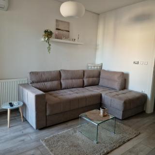 River Apartment - Paraćin - 9