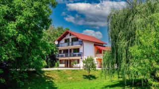 House Jole - Drežnik Grad - 9