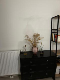 T3 Centre ville - Ajaccio - 2
