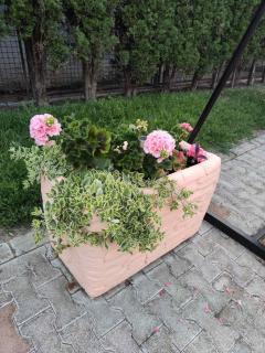 Dunavska Oaza - Beočin - 4