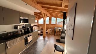 Portes du Soleil T3 "comme un chalet" direct access Morzine Avoriaz - Montriond - 8