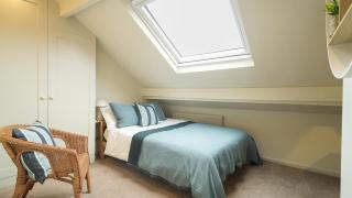 Crookes Gem with Garden & Alpacas Nearby - Walkley - 5