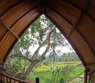 Forest Side bungalow - Tetebatu - 7